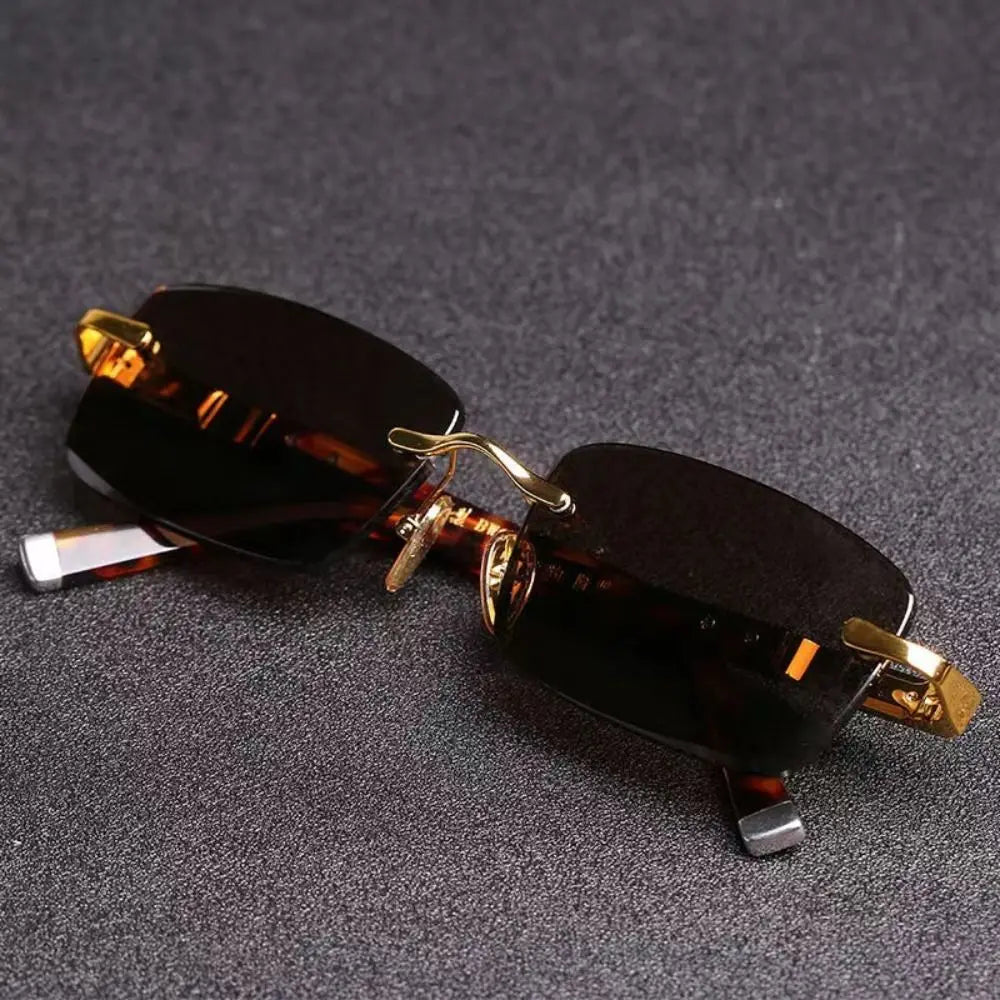 Savane Tortoise Sunglasses